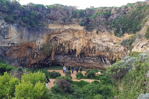 Great Ocean Road Full Day Private Experience - Accommodation VIC 7