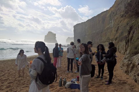 Great Ocean Road Full Day Private Experience - Accommodation VIC 29