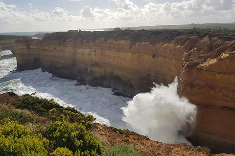Great Ocean Road Full Day Private Experience - Accommodation VIC 1