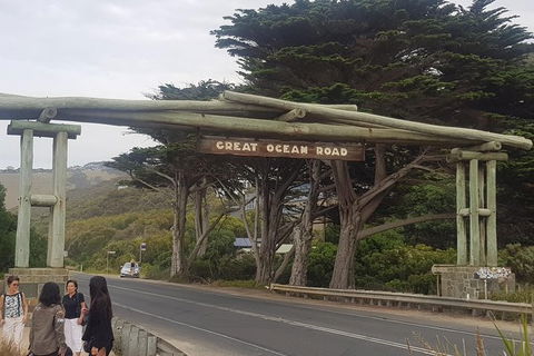 Great Ocean Road Full Day Private Experience - Accommodation VIC 12