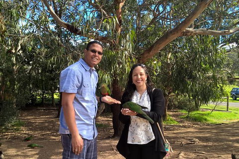 Great Ocean Road Full Day Private Experience - Accommodation VIC 2