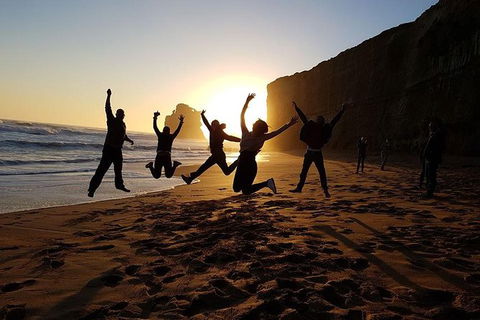 Great Ocean Road Full Day Private Experience - Accommodation VIC 4