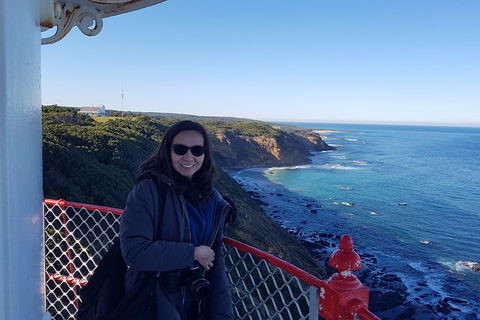 Great Ocean Road Full Day Private Experience - Accommodation VIC 24