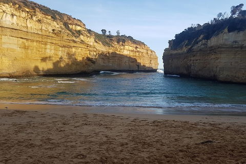 Great Ocean Road Full Day Private Experience - Accommodation VIC 13