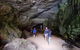 Great Ocean Road Full Day Private Experience - thumb 21
