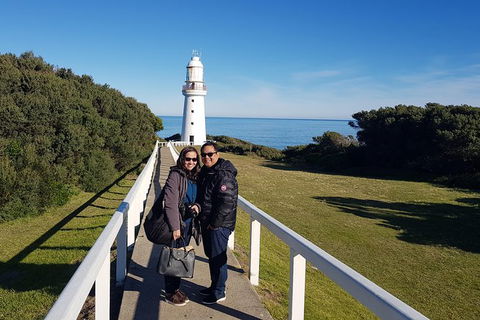 Great Ocean Road Full Day Private Experience - Accommodation VIC 25