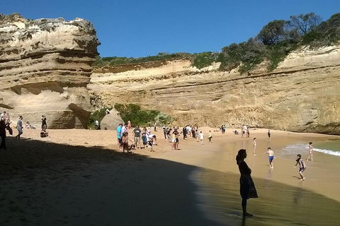 Great Ocean Road Full Day Private Experience - Accommodation VIC 17