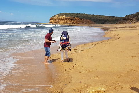 Great Ocean Road Full Day Private Experience - Accommodation VIC 10