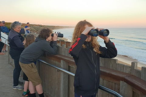 Warrnambool Wanderer Tour - Accommodation VIC 2
