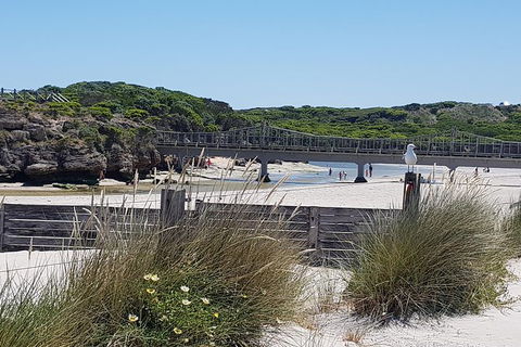 Warrnambool Wanderer Tour - Accommodation VIC 3