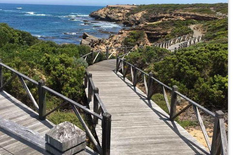 Warrnambool Wanderer Tour - Accommodation VIC 0