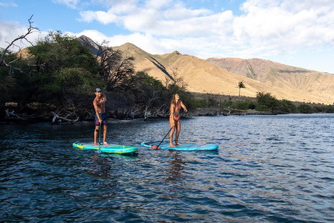 Stand Up Paddle Boarding Hire - Accommodation VIC 2