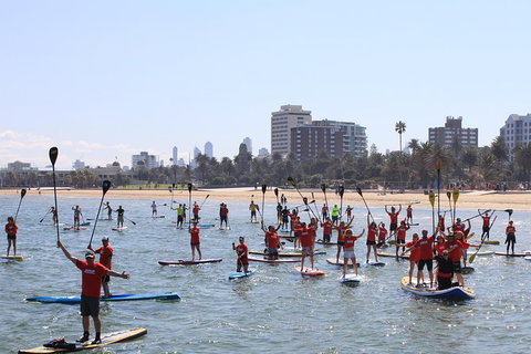 Stand Up Paddle Boarding Hire - Accommodation VIC 5