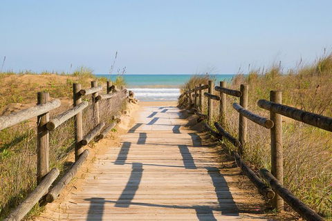Cruise Ship Shore Excursion - Private Great Ocean Road Full Day Tour (12 Hour) - Accommodation VIC 0
