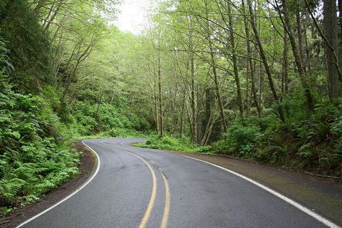 Cruise Ship Shore Excursion - Private Great Ocean Road Full Day Tour (12 Hour) - Accommodation VIC 1