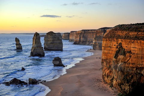 Great Ocean Road Tour Plus Koalas, Forest Walk And Morning Tea. - Accommodation VIC 0