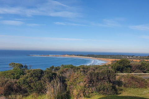 Private Great Ocean Road And Chocolaterie Tour With Tasting - Accommodation VIC 5