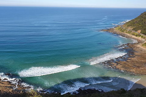Private Great Ocean Road And Chocolaterie Tour With Tasting - Accommodation VIC 7