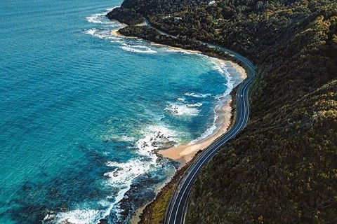 Private Great Ocean Road And Chocolaterie Tour With Tasting - Accommodation VIC 6
