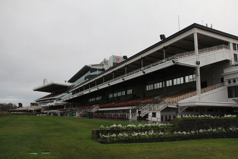 Ultimate Sports Lovers Bus Tour Of Melbourne - Accommodation VIC 10