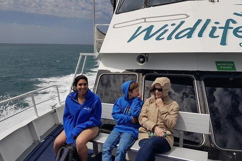 Phillip Island Penguin And Wildlife Tour - Accommodation VIC 15