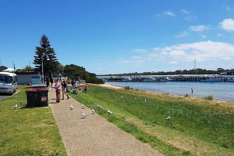 Phillip Island Penguin And Wildlife Tour - Accommodation VIC 25