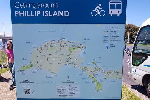 Phillip Island Penguin And Wildlife Tour - Accommodation VIC 28