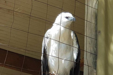 Phillip Island Penguin And Wildlife Tour - Accommodation VIC 21