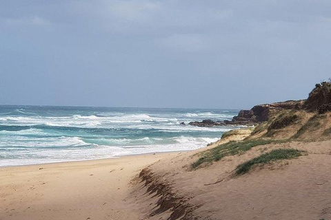 Phillip Island Penguin And Wildlife Tour - Accommodation VIC 10