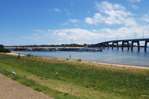 Phillip Island Penguin And Wildlife Tour - Accommodation VIC 24