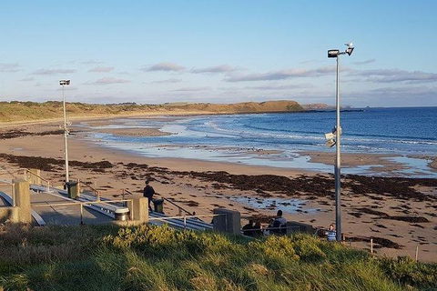 Phillip Island Penguin And Wildlife Tour - Accommodation VIC 8