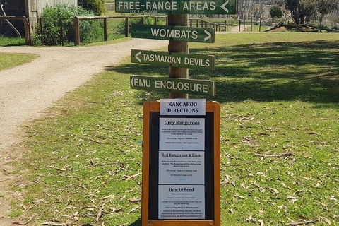 Phillip Island Penguin And Wildlife Tour - Accommodation VIC 4
