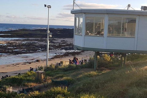 Phillip Island Penguin And Wildlife Tour - Accommodation VIC 33