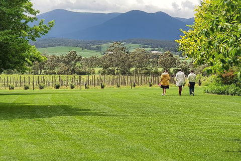 Yarra Valley Wine Tasting Day Tour From Melbourne - Accommodation VIC 6