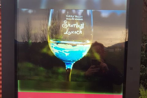Yarra Valley Wine Tasting Day Tour From Melbourne - Accommodation VIC 4