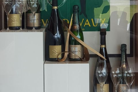 Yarra Valley Wine Tasting Day Tour From Melbourne - Accommodation VIC 2