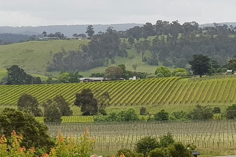Yarra Valley Wine Tasting Day Tour From Melbourne - Accommodation VIC 0