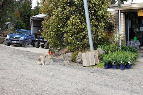 Yarra Valley Wineries And Rayners Orchard Tour From Melbourne - Accommodation VIC 8