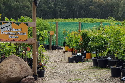 Yarra Valley Wineries And Rayners Orchard Tour From Melbourne - Accommodation VIC 0