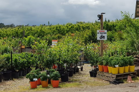 Yarra Valley Wineries And Rayners Orchard Tour From Melbourne - Accommodation VIC 22