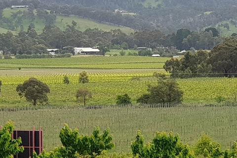 Yarra Valley Wineries And Rayners Orchard Tour From Melbourne - Accommodation VIC 2