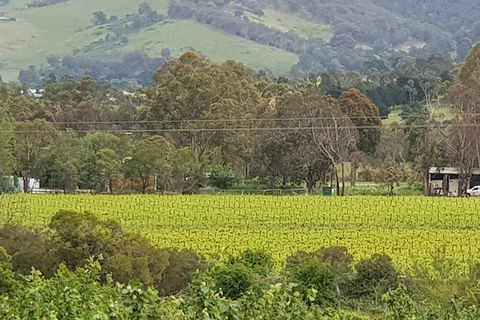 Day Tour Of Yarra Valley Puffing Billy And Rayners Orchard - Accommodation VIC 44