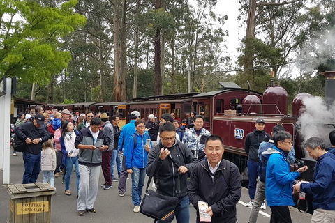 Day Tour Of Yarra Valley Puffing Billy And Rayners Orchard - Accommodation VIC 3