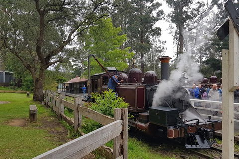 Day Tour Of Yarra Valley Puffing Billy And Rayners Orchard - Accommodation VIC 14