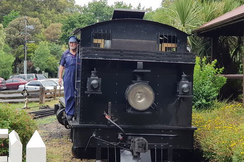 Day Tour Of Yarra Valley Puffing Billy And Rayners Orchard - Accommodation VIC 11