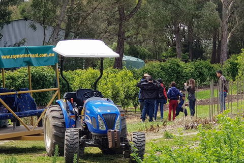 Day Tour Of Yarra Valley Puffing Billy And Rayners Orchard - Accommodation VIC 10
