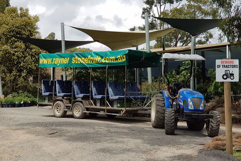 Day Tour Of Yarra Valley Puffing Billy And Rayners Orchard - Accommodation VIC 17