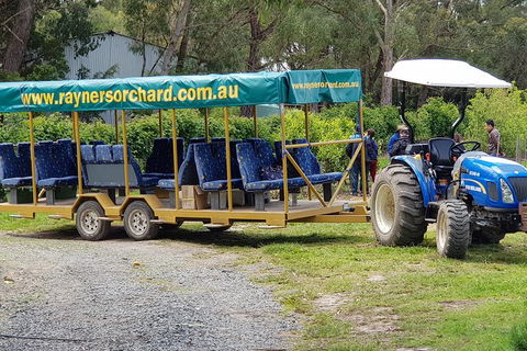 Day Tour Of Yarra Valley Puffing Billy And Rayners Orchard - Accommodation VIC 48