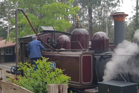 Day Tour Of Yarra Valley Puffing Billy And Rayners Orchard - Accommodation VIC 5