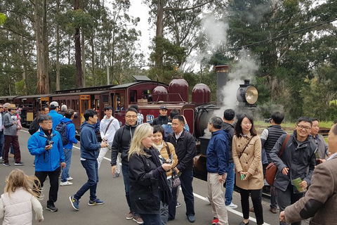 Day Tour Of Yarra Valley Puffing Billy And Rayners Orchard - Accommodation VIC 18
